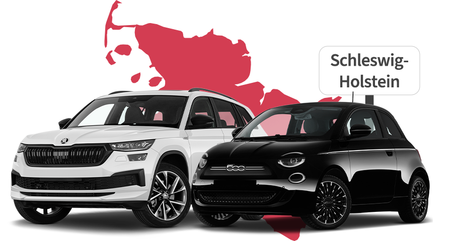 Ein Skoda und ein Fiat mit Schleswig-Holstein Hintergrund