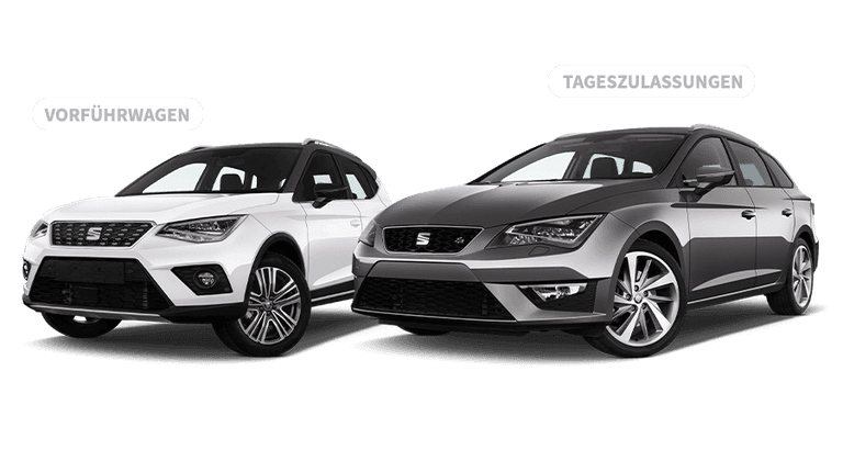 Gebrauchtwagen Leasing