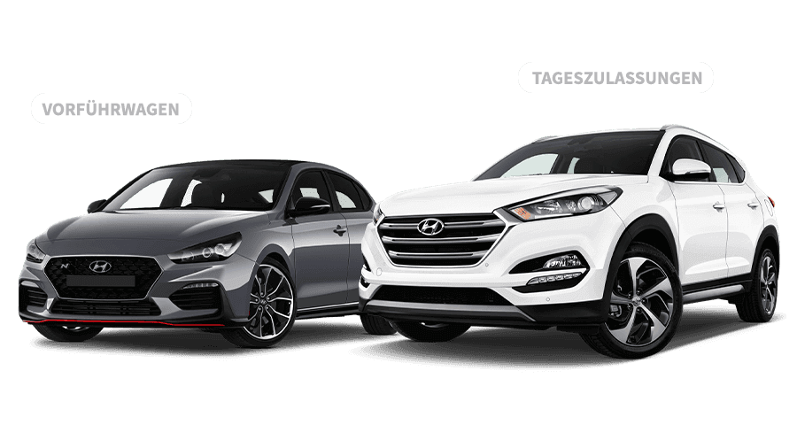 Gebrauchtwagen Leasing