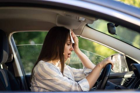 hitze im auto tipps und tricks
