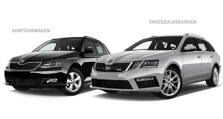 Gebrauchtwagen Leasing Gebrauchtwagen Leasing