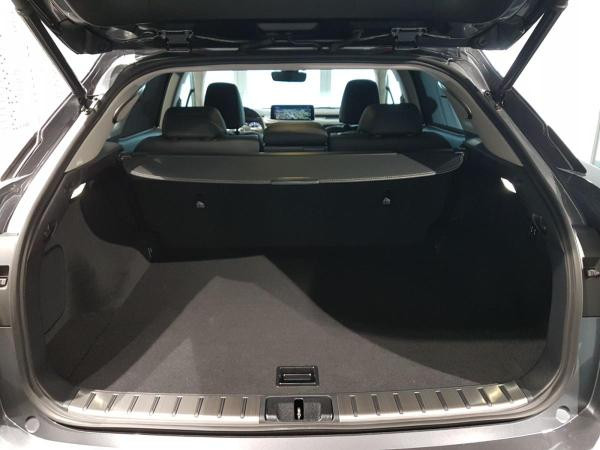 Foto - Lexus RX 450 Luxury Line plus Panoramaglasdach, Assistenz-Paket Plus und Holz-/Lederlenkrad