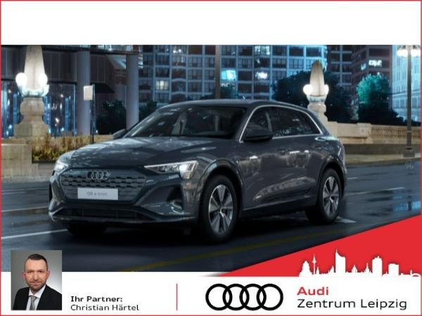 Audi Q8 advanced 50 e-tron qu. LED*2Z-Klima*Navi*19**