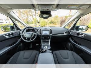 Ford S-Max Titanium 2.0 EcoBlue • AHK • Rückfahrkam. • Winter • LED •