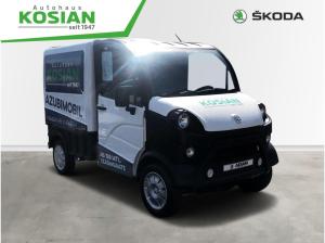 Aixam D-Truck Van +KAMERA+FSE+FAHREN AB 15 JAHREN+