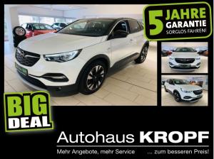 Opel Grandland X 2.0 120 Jahre *6 Jahre Garantie*
