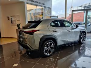 Lexus UX 250h Style "Vollhybrid "Modelljahr 2023
