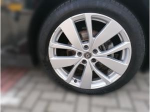 Renault Scenic Limited Deluxe Blue DCi 120 - 10238