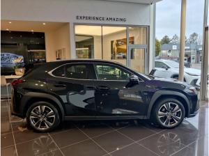 Lexus UX 250h Style "Vollhybrid "Modelljahr 2023