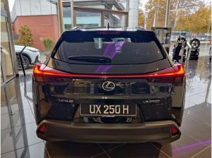 Lexus UX 250h Style "Vollhybrid "Modelljahr 2023