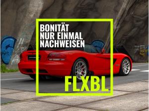 Dodge Viper SRT-10 NEU: FLXBL LEASING