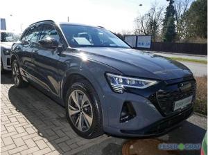 Audi Q8 e-tron (GEG)