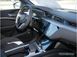 Audi Q8 e-tron (GEG)