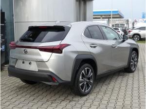 Lexus UX 250h Executive Line mit Premiumpaket & Glas-Schiebe-Hebedach nur Privat oder Einzelfirmen möglich!