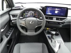 Lexus UX 250h Executive Line mit Premiumpaket & Glas-Schiebe-Hebedach nur Privat oder Einzelfirmen möglich!