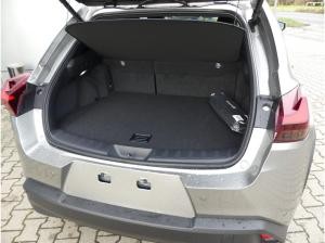 Lexus UX 250h Executive Line mit Premiumpaket & Glas-Schiebe-Hebedach nur Privat oder Einzelfirmen möglich!