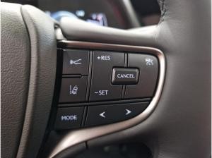 Lexus UX 250h Style nur PRIVAT oder EINZELFIRMEN möglich