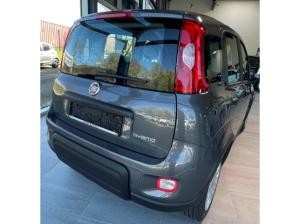Fiat Panda Mild Hybrid *SOFORT VERFÜGBAR* Klima