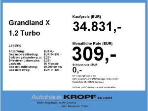 Opel Grandland X 1.2 Turbo Elegance Navi,Klim,SHZ,LRH