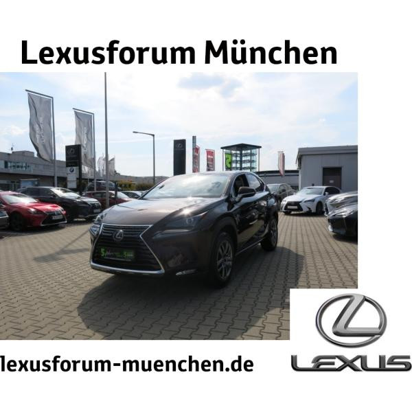 Foto - Lexus NX 300 NX 300h Launch Edition Allrad *sofort verfügbar*