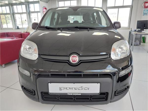 Fiat Panda für 183,00 € brutto leasen