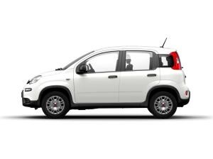 Fiat Panda FREI KONFIGURIERBAR | Privat