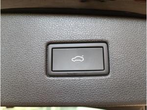 Volkswagen Tiguan Active*DSG*Stdhzg.*ACC*