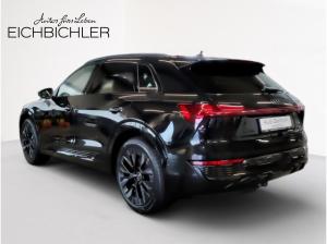 Audi Q8 e-tron 55 quattro S line Luft Pano STH