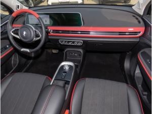 Ora Funky Cat GT mtl. MIETE bis zu 6 Monaten