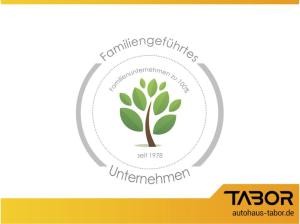 Renault Clio TECHNO E-TECH FULL HYBRID 145 Leder Kam