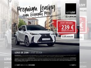 Lexus UX 250h F Sport Design+ +Navi+R.Kamera+Leder+