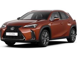 Lexus UX 250h F Sport Design+ +Navi+R.Kamera+Leder+
