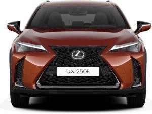 Lexus UX 250h F Sport Design+ +Navi+R.Kamera+Leder+
