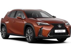 Lexus UX 250h F Sport Design+ +Navi+R.Kamera+Leder+
