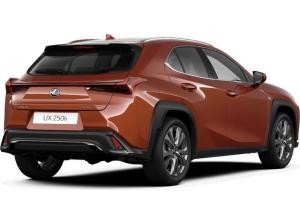 Lexus UX 250h F Sport Design+ +Navi+R.Kamera+Leder+