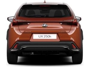 Lexus UX 250h F Sport Design+ +Navi+R.Kamera+Leder+