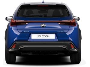 Lexus UX 250h F Sport Design+ +Navi+R.Kamera+Leder+