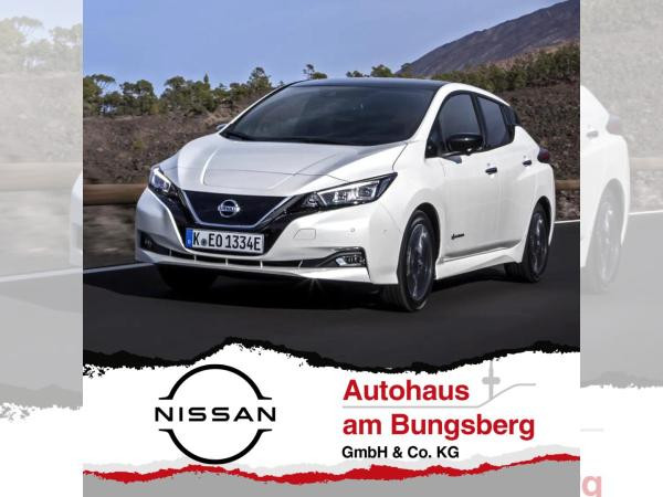 Nissan Leaf für 264,52 € brutto leasen