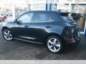 Ora Funky Cat 03 300 Pro incl. Wartung