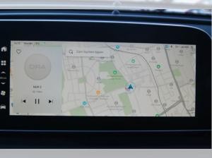 Ora Funky Cat 03 300 Pro incl. Wartung