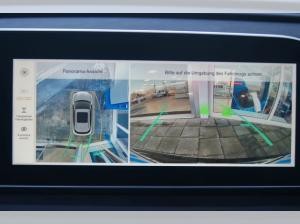 Ora Funky Cat 03 300 Pro incl. Wartung