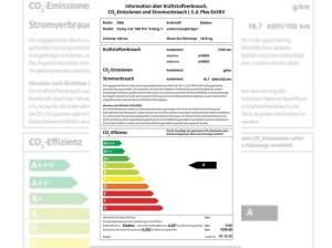 Ora Funky Cat 03 300 Pro incl. Wartung