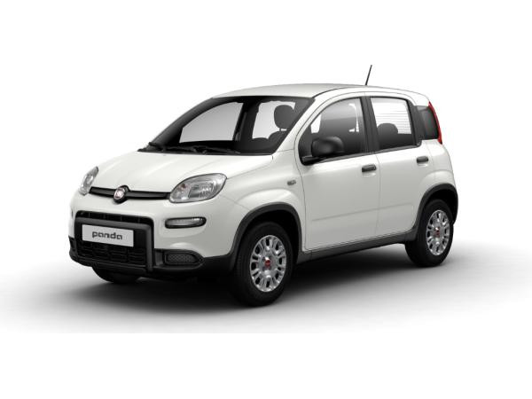 Fiat Panda für 154,44 € brutto leasen
