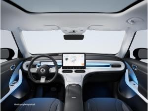 smart #1 Pulse⚡(Allrad/Head-up/Wärmepumpe/Navi/Pano/LED)