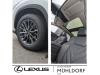 Foto - Lexus NX 350h Executive Line || Panoramaglasdach || Inzahlungnahme-Prämie ||