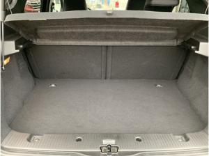 Renault Twingo URBAN NIGHT PAKET E-TECH 22KWh Urban Night Paket SHZ+NAVI