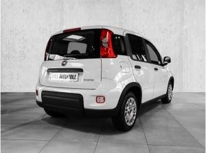 Fiat Panda | MILD HYBRID |  TECHPAKET |***SOFORT VERFÜGBAR***