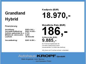 Opel Grandland Hybrid Wallbox for free !!!