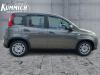 Foto - Fiat Panda 1.0l Hybrid 70PS mit Klima+TechPaket