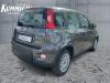Foto - Fiat Panda 1.0l Hybrid 70PS mit Klima+TechPaket